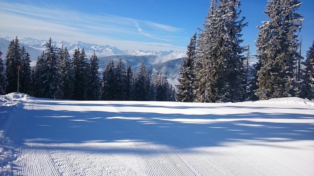 Appartmenthaus Hochkoenig Mühlbach am Hochkönig Extérieur photo