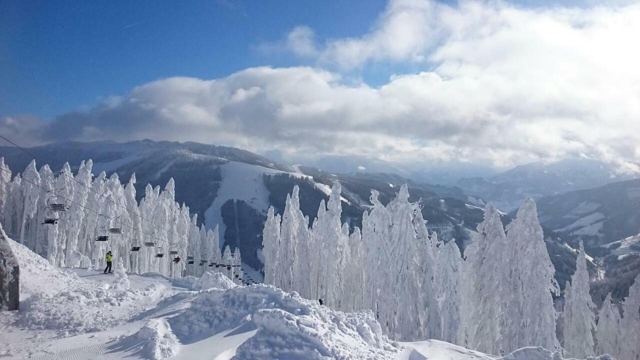 Appartmenthaus Hochkoenig Mühlbach am Hochkönig Extérieur photo