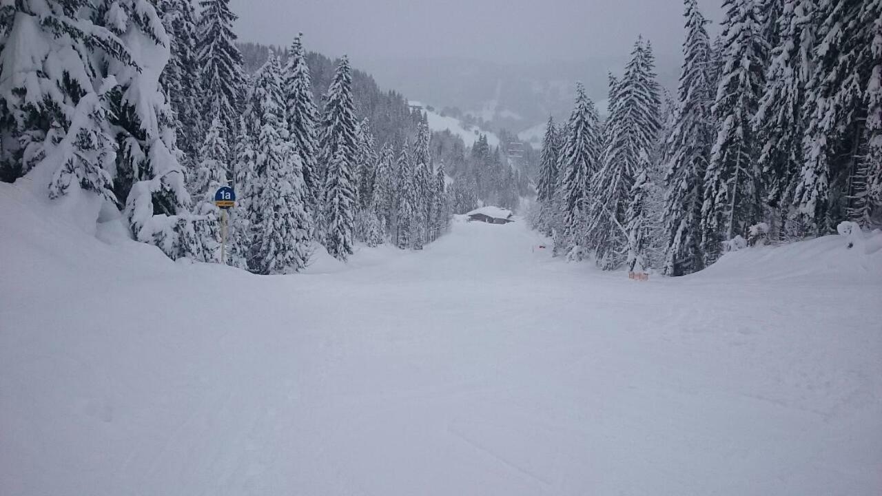 Appartmenthaus Hochkoenig Mühlbach am Hochkönig Extérieur photo